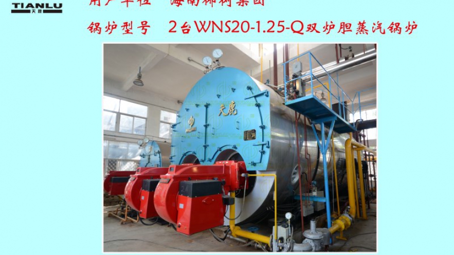 椰樹(shù)集團(tuán)2臺(tái)WNS20-1.25-Q雙爐膽蒸汽鍋爐